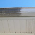 gutter-cleaning skippack