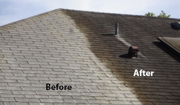 Roof Cleaning Near Me | Premier Sealcoating & Softwash